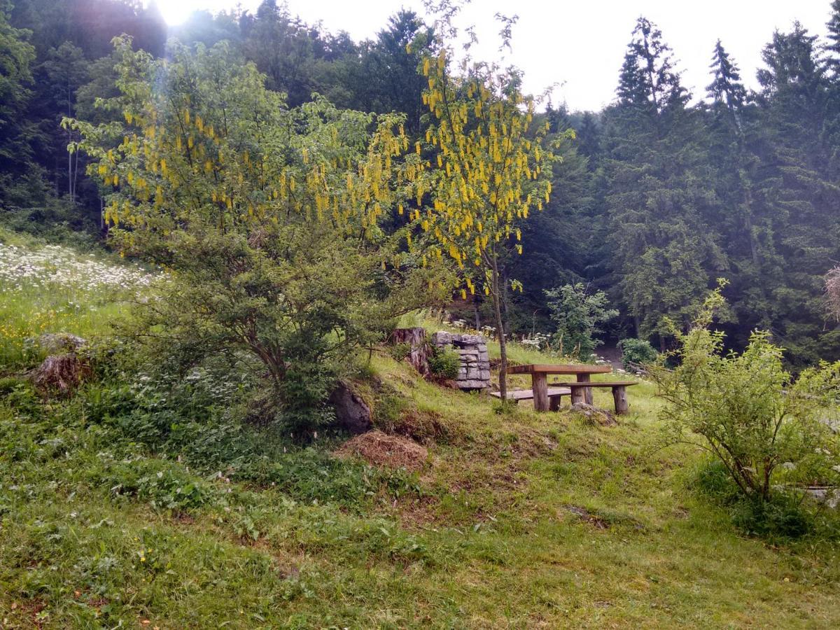 다오네 Agritur Manoncin 빌라 외부 사진