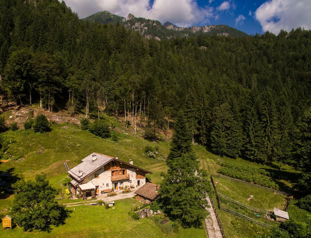 다오네 Agritur Manoncin 빌라 외부 사진