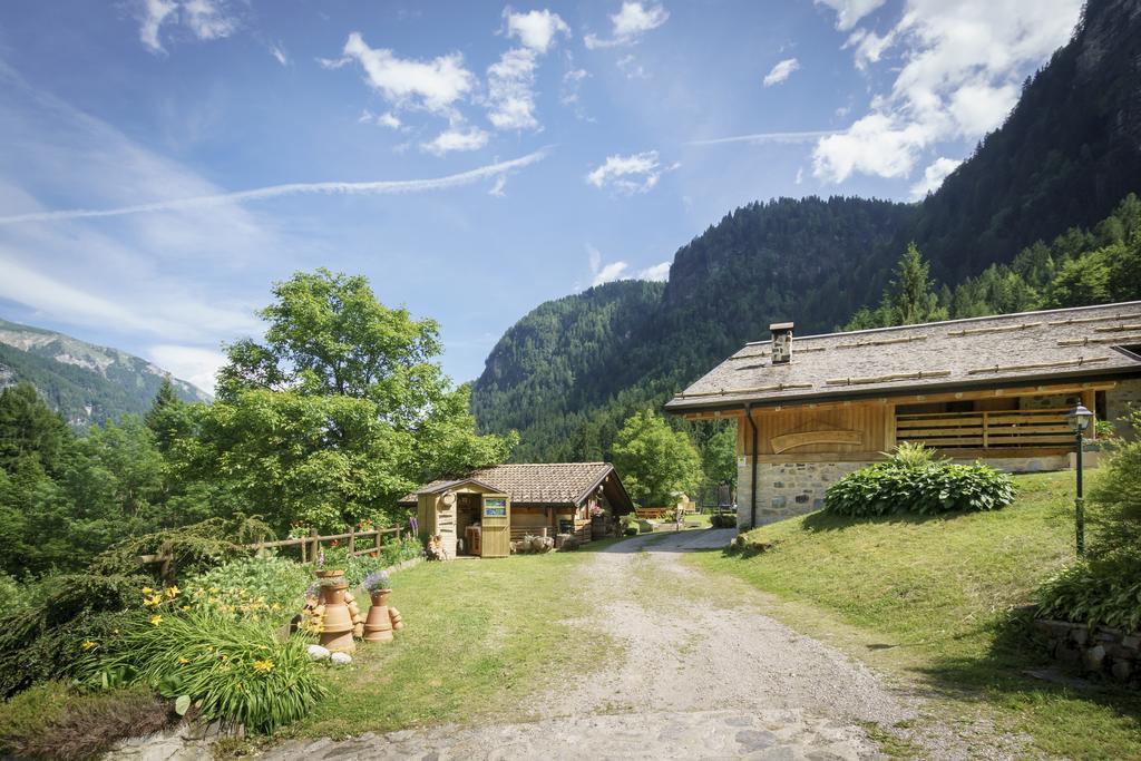 다오네 Agritur Manoncin 빌라 외부 사진