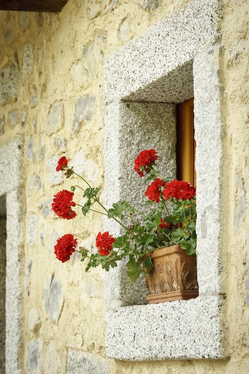 다오네 Agritur Manoncin 빌라 외부 사진