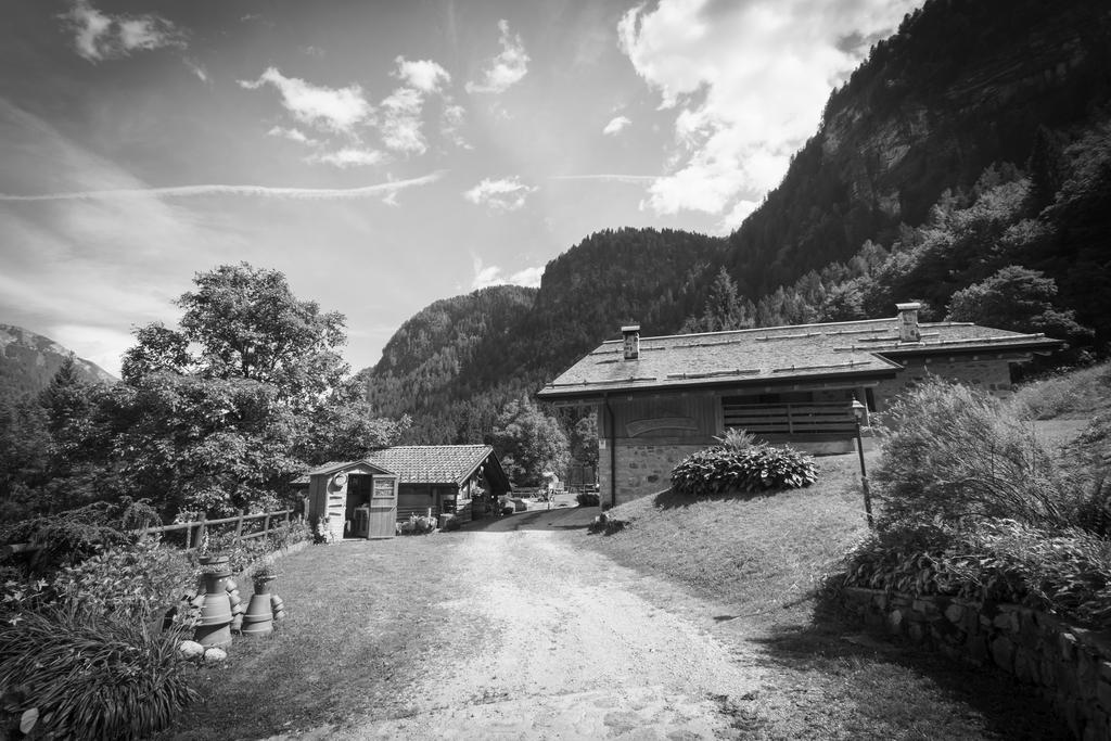 다오네 Agritur Manoncin 빌라 외부 사진